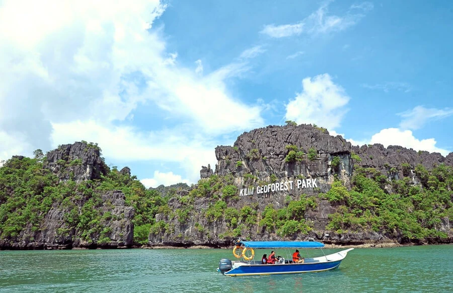 Lawatan Hutan Paya Bakau (Mangrove Tour)