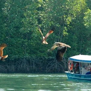 river cruise